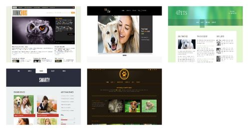 校园社团招募主页 - HTML/CSS/Js 响应式设计实践